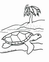 Turtle Coloring Sea Pages Turtles Kids Printable Baby Cartoon Color Snapping Print Drawing Cliparts Clipart Loggerhead Colouring Outline Science Life sketch template