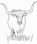Cow Clarabelle Boi Colorir Coloringbay sketch template