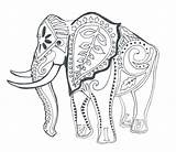 Elephant Coloring Pages Printable Asian Adult Elephants Getcolorings Getdrawings Printables Colorings sketch template