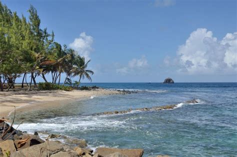 J6 K1zzi Gros Islet Saint Lucia News