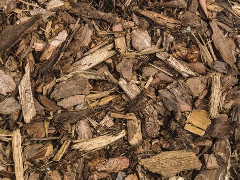 benefits  wood mulch  wood chips good mulch  gardens