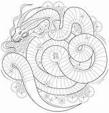 Adults Getdrawings Ammonite Snake Dxf Eps Cleverpedia sketch template