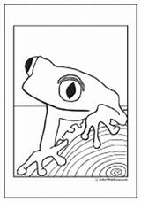 Coloring Frog Tree Pages Eyed Red Colorwithfuzzy sketch template