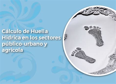 Cálculo De Huella Hídrica En Los Sectores Público Urbano Y Agrícola