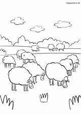 Sheep Coloring Schaf Flock Schafherde Malvorlage Ausmalbild Schafe Beim Wiese Sheeps Colomio Frühstück Kostenlos Oster Gehts Ausmalbildern sketch template