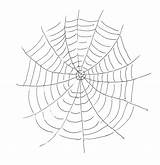 Bestcoloringpagesforkids Cool2bkids Spiders sketch template