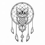 Catcher Eule Silhouette Dreamcatcher Coloring Myloview Owls Buho Atrapasueños Vector sketch template