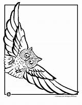 Owl Flying Coloring Pages Outline Drawing Clipart Cliparts Line Clip Owls Animal Draw Templates Template Gif Library Print Jr Board sketch template