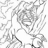 Scar Lion Coloring Pages King Simba Mufasa Drawing Fighting Template Printable Roi Getdrawings Getcolorings Sketch sketch template