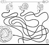 Labirinto Caracoles Lattuga Labyrinth Caminos Alface Salat Percorsi Lumache Freepik Schnecken Materna Infantiles Pfade Malbuch Lechuga Laberinto Caminho Transparant sketch template