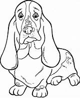 Coloring Hound Basset Honden Kleurplaat Dackel Hond Leuke Dachshund Volwassenen Puppies Bassett Ausdrucken Cani Disegni Ausmalbild Supercoloring Dieren Uitprinten Hunde sketch template