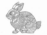 Hase Zentangle Animal Bunny Boek Kleurende Hasen Malvorlagen Rabbits Dentistmitcham Ioioio sketch template