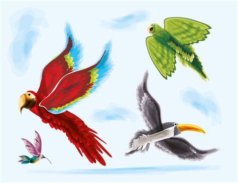 flying exotic birds watercolor  vector art  vecteezy
