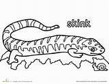 Skink Designlooter Kindergarten sketch template
