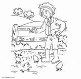 Farm Fazenda Kolorowanki Praca Farmie Farmer Boerderij Malowanki Druku Feeding Chickens Pintarcolorir Gospodarstwie Obrazek Kleurplaten sketch template