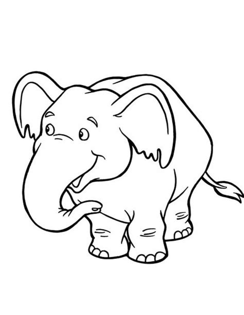 cute baby elephant coloring page netart