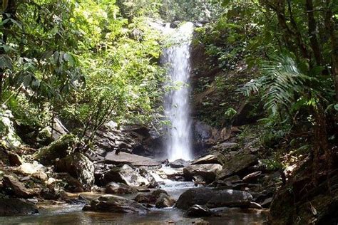 Tripadvisor Trinidad Rainforest Hike To Waterfall Provided By Island