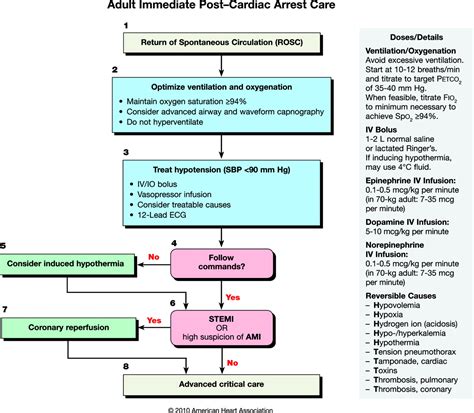 Part 9 Post Cardiac Arrest Care Circulation