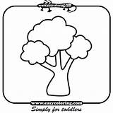 Tree Coloring Eleven Trees Easy Simple Toddlers Pages Print sketch template