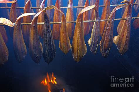smoking fish photograph  jan brons fine art america
