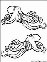 Octopus Octopuses Pieuvre Clipartmag Ko Xcolorings sketch template