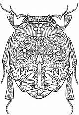 Coloring Pages Adult Insect Adults Colouring Mandala Printable Bug Abstract Beetle Advanced Insects Zentangle Detailed Bugs Doodle Animal Kleuren Volwassenen sketch template