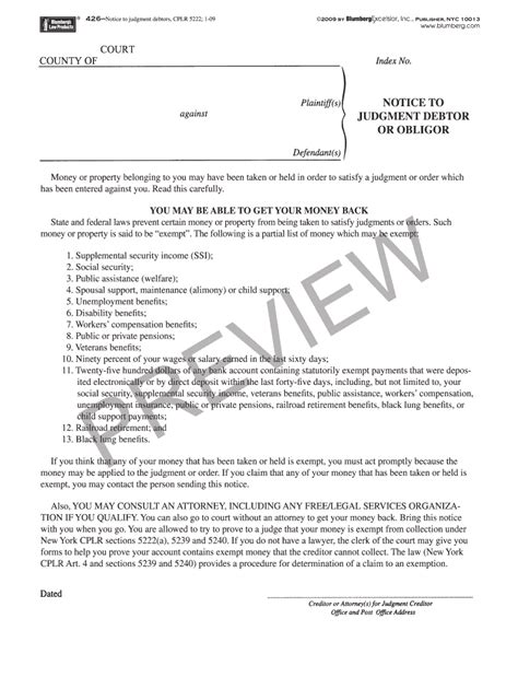 sample proposed judgment  york fill  printable fillable