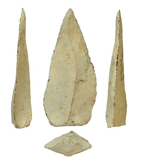Hunters Used Stone Tipped Spears 500 000 Years Ago The New York Times