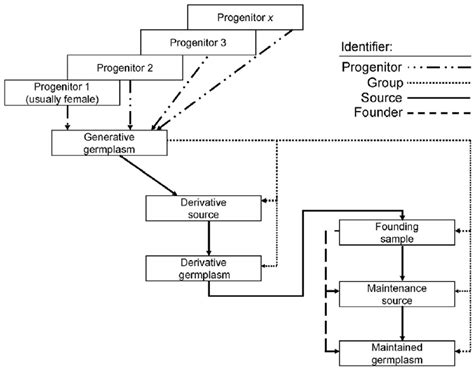 diagrammatic representation    types  relationship  scientific diagram