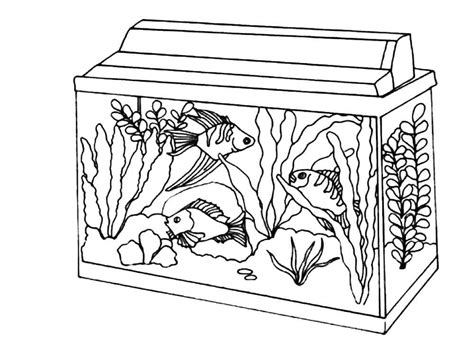 pin  pets coloring pages