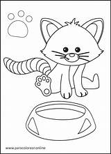 Gatos Animales Paracolorear sketch template