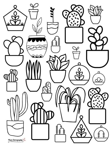 houseplant coloring pages  page printable  succulent etsy
