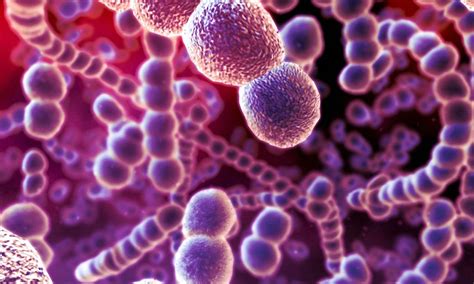 alien  life forms       living cells