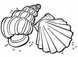 Seashell Colorare Seashells Muszla Disegno Conchiglie Kolorowanki Caparazones Dla Pintar Imagui Sheets Shells Pagine Plantas Duro Ricamo Creatività Doodle Tessuto sketch template
