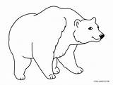 Bear Coloring Pages Kids Printable sketch template