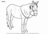 Horse Draw Standing Step Drawing Horses Make Animals Tutorial Necessary Improvements Finally Finish Tutorials Drawingtutorials101 sketch template