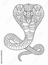 Snake Colorir Adults Kai Illustration Serpente Boek Kleurende Illustratie sketch template