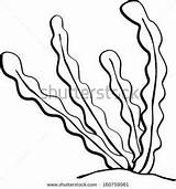 Coral Drawing Seaweed Draw Cartoon Clipart Drawings Coloring Kids Line Vector Sea Pages Go Easy Stock Kelp Back Printable Paintingvalley sketch template