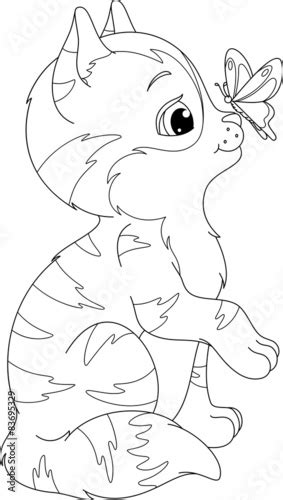 kitten  butterfly coloring page stock image  royalty