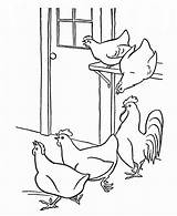 Coloring Chickens sketch template