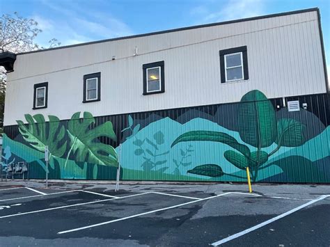 pure organic spa introduces mural  pitt street