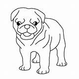 Baby Pages Coloring Pug Getcolorings Pugs sketch template