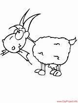 Goat Color Coloring Sheet Title sketch template