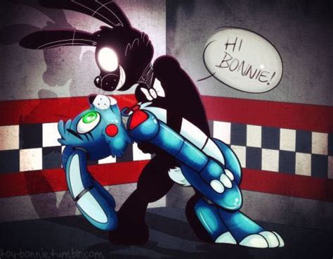 My Opinions On Fnaf Ships X3 Toy Bonnie X Shadow Bonnie