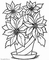 Coloring Pages Flower Adults Cool Popular Christmas sketch template