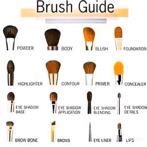 make up brush chart makeup brushes guide makeup brush