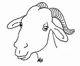 Goat Bode Colorir Imprimir Goats sketch template