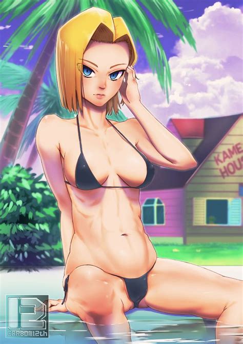 Pin By Jason Riesel On Android 18 Dragon Ball Dragon