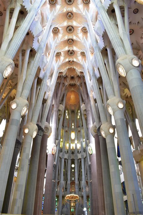 interior  sagrada familia barcelona spain building rarchitecture