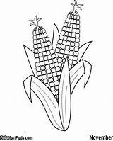 Corn Coloring Pages Ear Drawing Colouring Printable Three Para Ears Cob Squash Beans Sheet Sisters Sheets Color Kids Template Paintingvalley sketch template